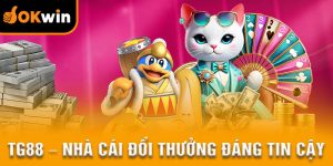 nha-cai-tg88