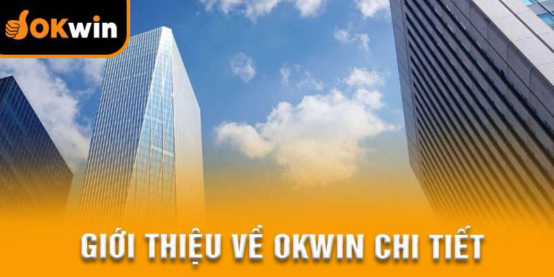 Giới thiệu sơ lược về tập đoàn OKWIN